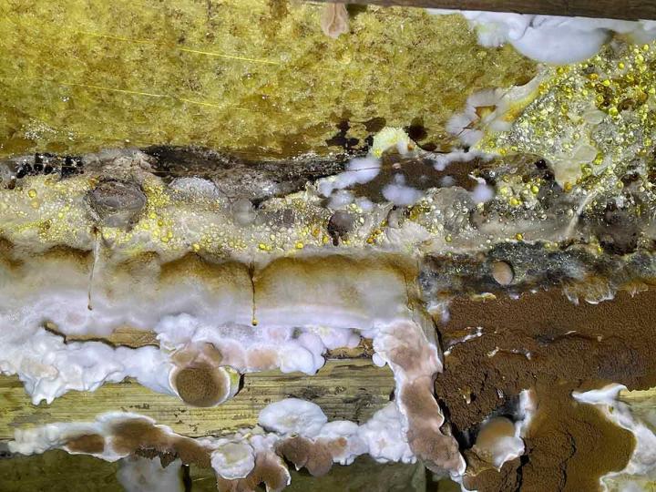 Entreprise experte en humidité à Brive-la-Gaillarde