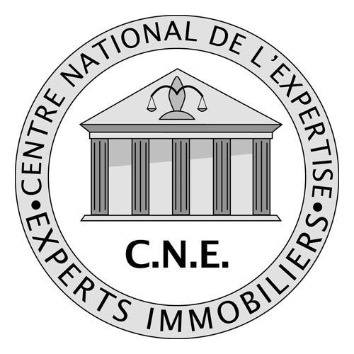 Logo CNE